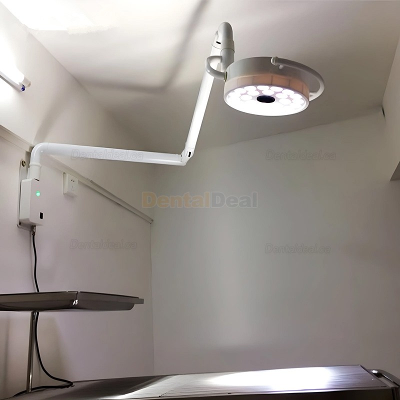 72W Wall-Mounted Dental Surgical Lamp 24 LEDs Dental Shadowless Operating Light